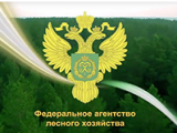 Реестр против недобросовестных лесных арендаторов