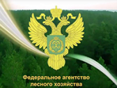 Реестр против недобросовестных лесных арендаторов