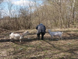 Год села наступит в 2020-м