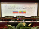 Российско-Эфиопский бизнес-форум: перспективы сотрудничества и особенности взаимодействия