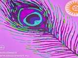 IV Курдский кинофестиваль: перспективы и новые имена