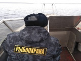 Запрет на рыбную ловлю в Ярославской области