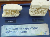 В Москве состоялась ежегодная конференция ФОП-2026