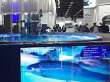 V Международный рыбопромышленный форум: ловись, аквакультурная рыбка, большая и маленькая