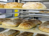 Победители конкурса по ремесленному хлебопечению