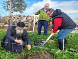 Липовая аллея в год 275-летия праведного воина Федора Ушакова