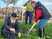 Липовая аллея в год 275-летия праведного воина Федора Ушакова