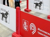 В Москве отметили Международный день собак-проводников