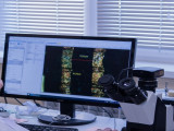 Импланты, соединяющие технологии и тело