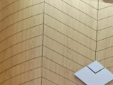 Росреестр разработал методическое пособие для садоводов
