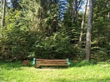 Память о героях: Иван Папанин, легендарный исследователь Арктики и советский управленец