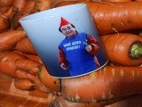 Мир зоны «Б»: гармония с природой, творчество и научные изыскания