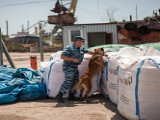 Служба кинологов Севастопольской таможни