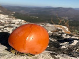 Очарование зимнего Крыма
