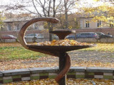 Социальный пример – посади деревья на свой юбилей